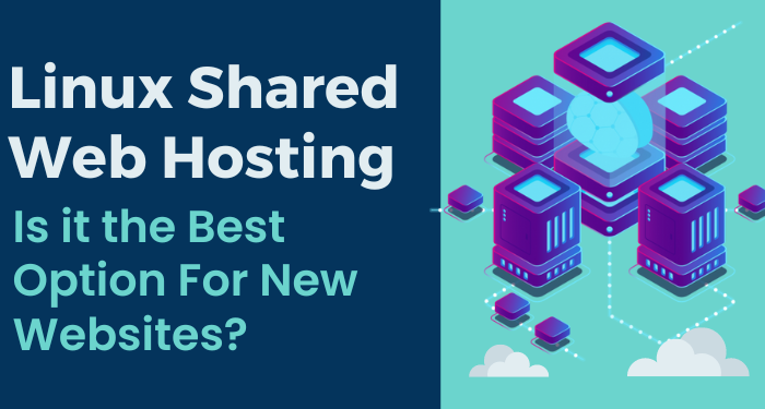 Linux Shared Web Hosting: Is it the Best Option For New Websites?