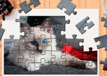 Games And Puzzle Market Latest Updates in 2022