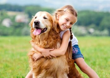 7 Reasons Why You Should Have a Pet