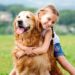 7 Reasons Why You Should Have a Pet
