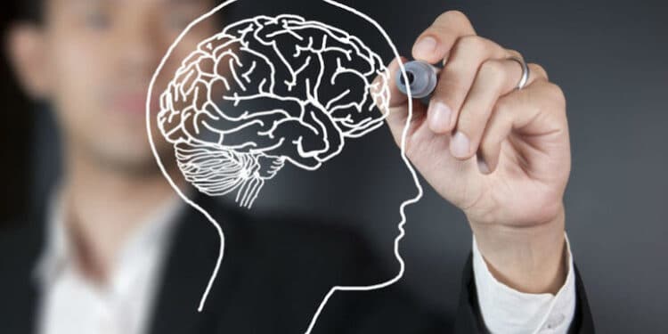 Rewiring Your Mind for Success: Exploring the Magic of NLP Coaching