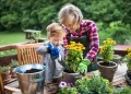 Top 3 Rootstocks for Container Growing